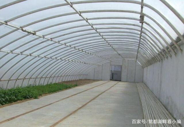 建一個一畝地的蔬菜大棚需要多少錢？